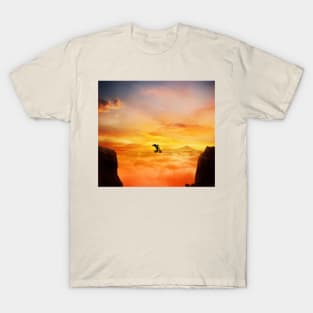 sunset balance T-Shirt